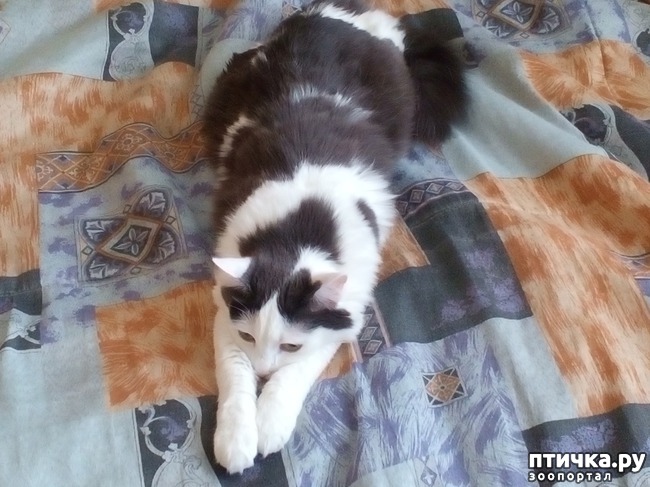 ���� 2: ���� �����. ������ ����.