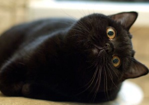 ����: �������� �����