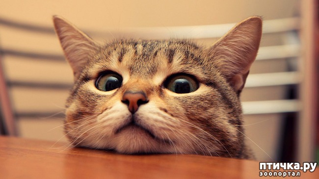 ���� 1: ����� ������� ��������