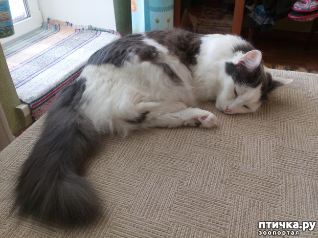 ���� 3: ���� �����. ������ ����.