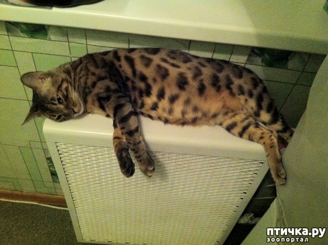 ���� 1: ������������� � �����