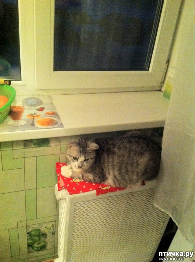 ���� 2: ������������� � �����