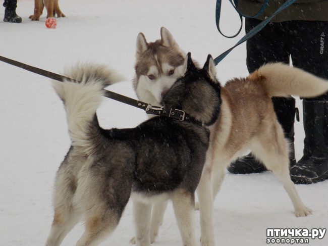 ���� 17: ������ �������� ����.