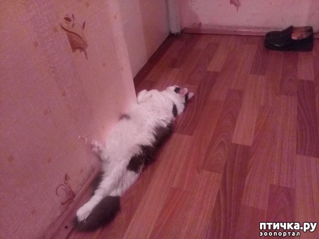 ���� 4: ���� �����. ������ ����.