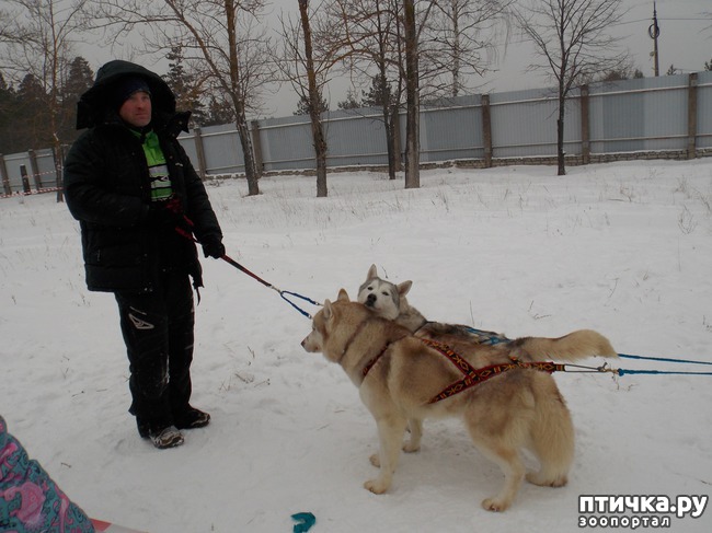 ���� 19: ������ �������� ����.