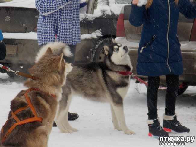 ���� 20: ������ �������� ����.