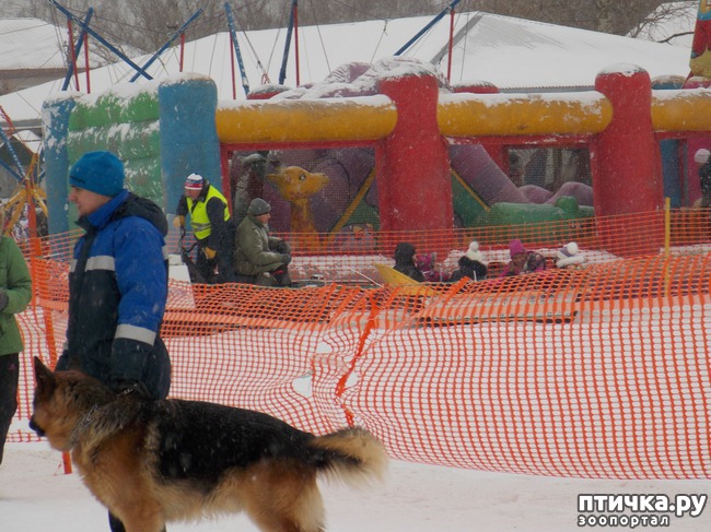 ���� 21: ������ �������� ����.