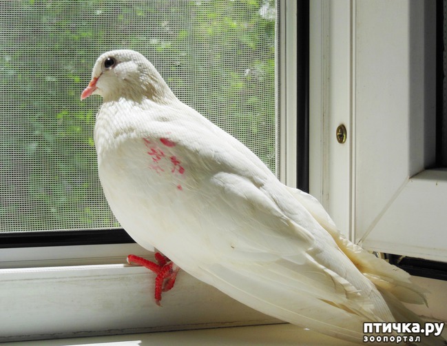 ���� 2: ������-���������