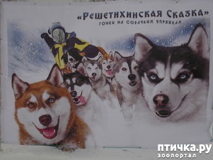 ����: ������ �������� ����.