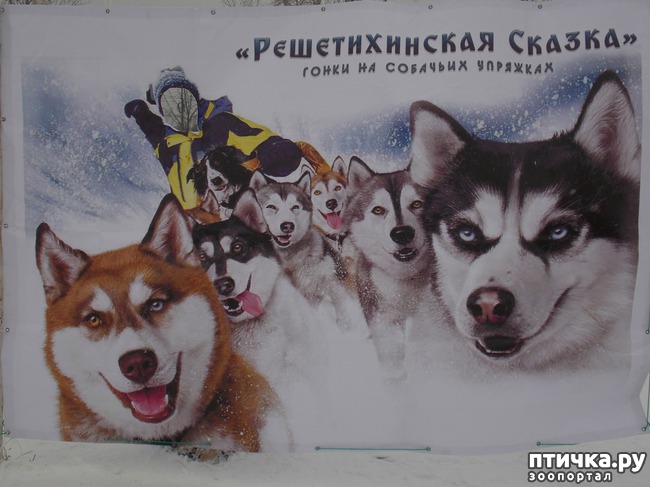 ���� 1: ������ �������� ����.