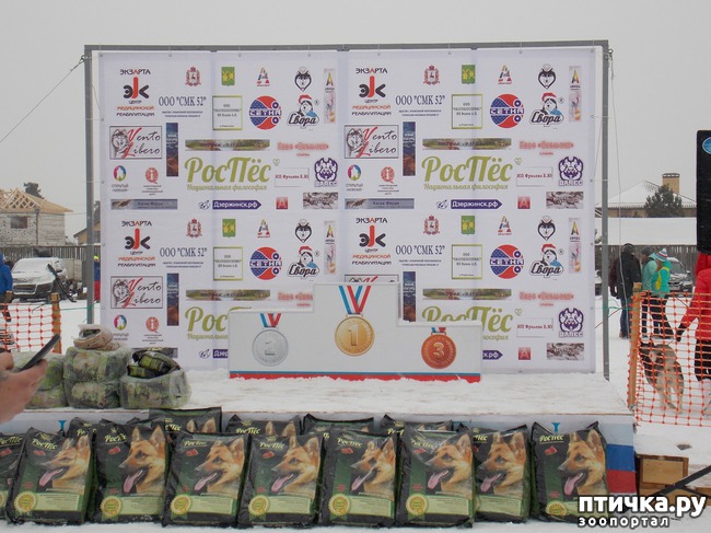 ���� 2: ������ �������� ����.