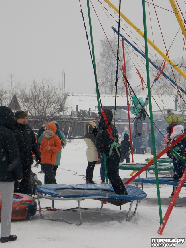 ���� 3: ������ �������� ����.