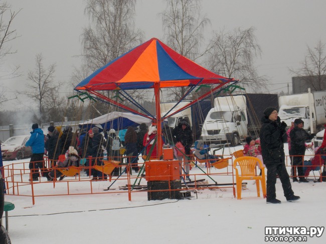 ���� 4: ������ �������� ����.