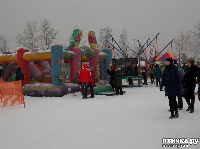 ���� 5: ������ �������� ����.