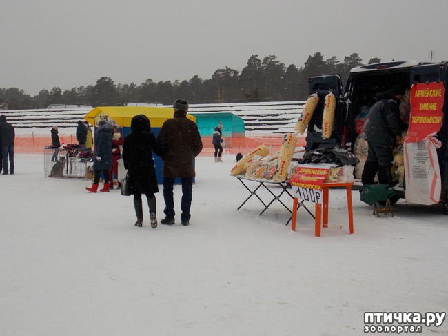 ���� 6: ������ �������� ����.