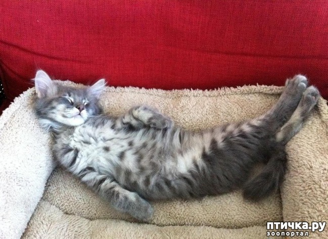 ���� 2: � ��� ��� ������ ��������� ������???