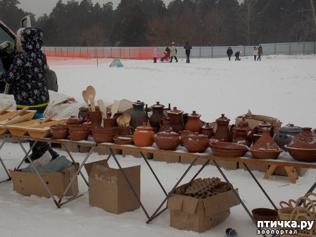 ���� 8: ������ �������� ����.