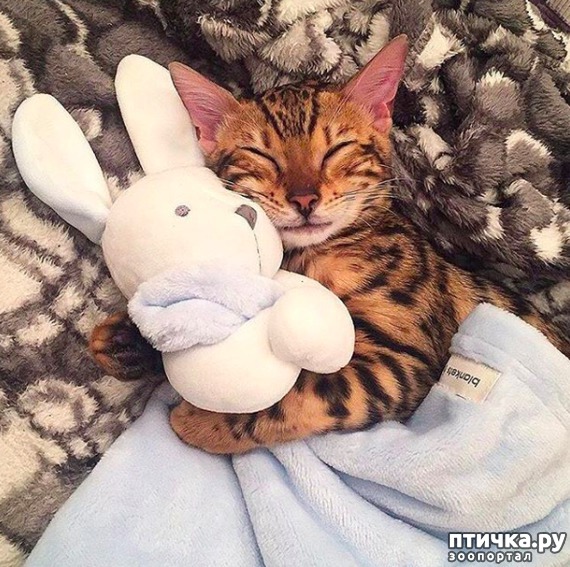 ���� 3: � ��� ��� ������ ��������� ������???