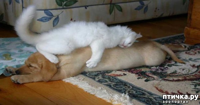 ���� 4: � ��� ��� ������ ��������� ������???