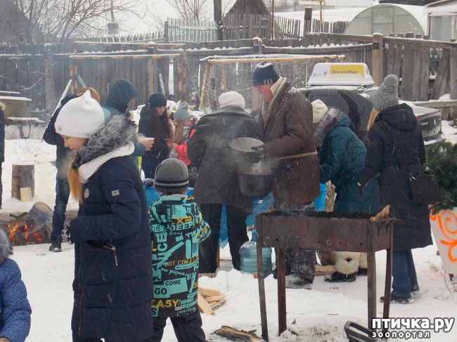 ���� 10: ������ �������� ����.