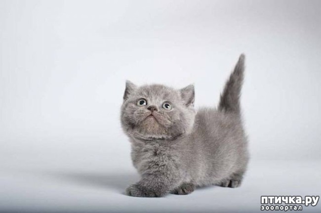 ���� 20: ��� �������� ��������.