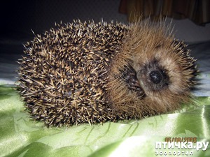 ����: �� ����� ������ �������������� ���