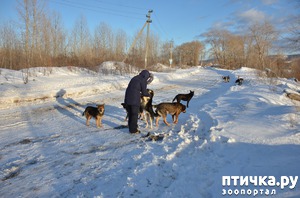 ����: ��������� ������