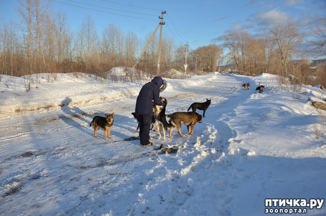 ���� 1: ��������� ������