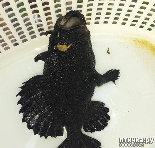 ���� 2: �������� �� �������� ����������, ������� ��� �������