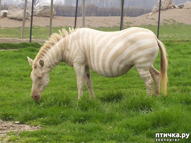 ���� 2: �����-����� 5 ��� ����� �����