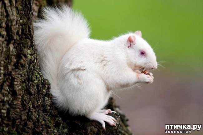 ���� 3: �����-����� 5 ��� ����� �����