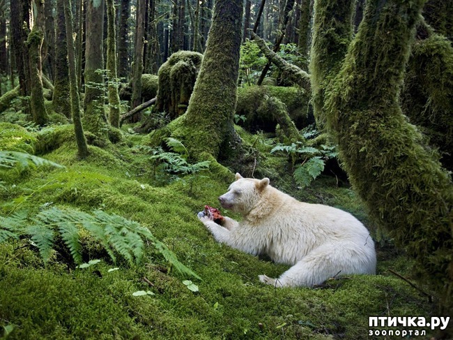 ���� 4: �����-����� 5 ��� ����� �����