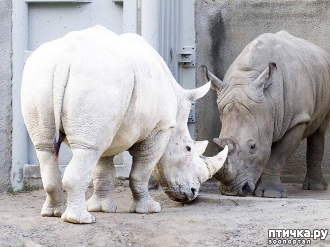 ���� 5: �����-����� 5 ��� ����� �����