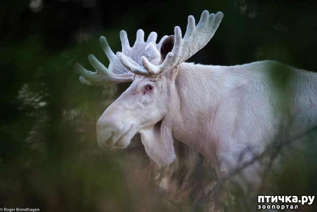 ���� 7: �����-����� 5 ��� ����� �����