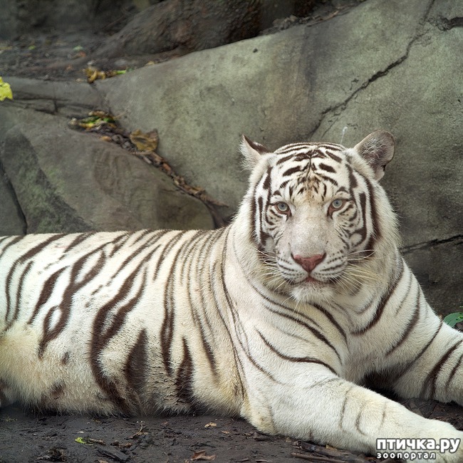 ���� 9: �����-����� 5 ��� ����� �����