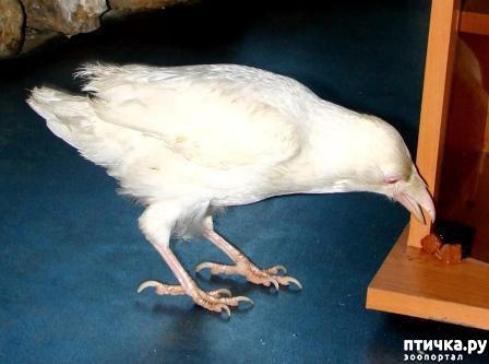 ���� 10: �����-����� 5 ��� ����� �����