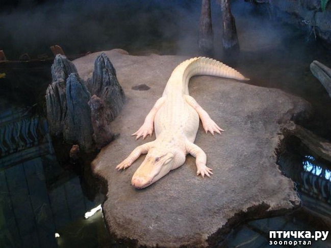 ���� 12: �����-����� 5 ��� ����� �����