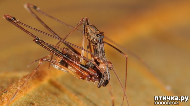 ���� 4: �������� �� �������� ����������, ������� ��� �������