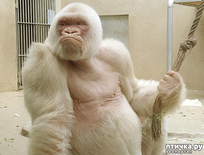 ���� 13: �����-����� 5 ��� ����� �����