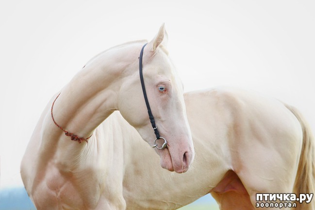 ���� 14: �����-����� 5 ��� ����� �����