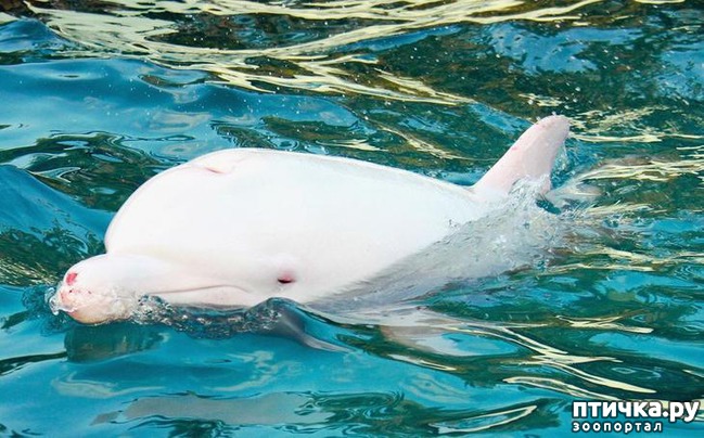 ���� 15: �����-����� 5 ��� ����� �����