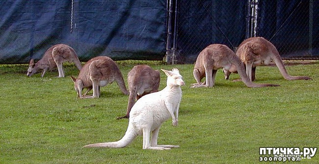 ���� 17: �����-����� 5 ��� ����� �����