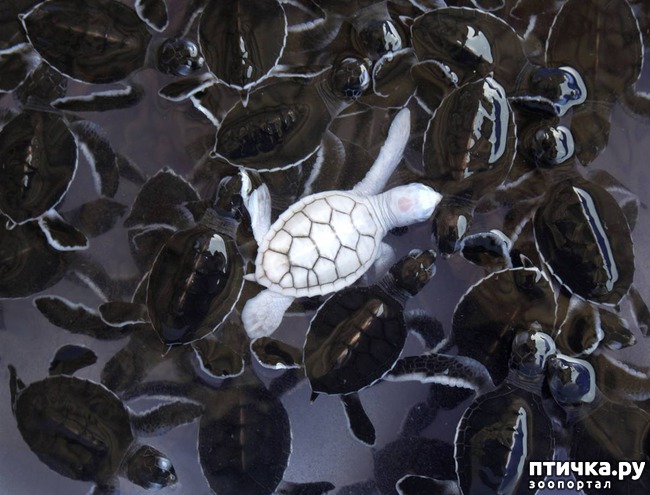 ���� 19: �����-����� 5 ��� ����� �����