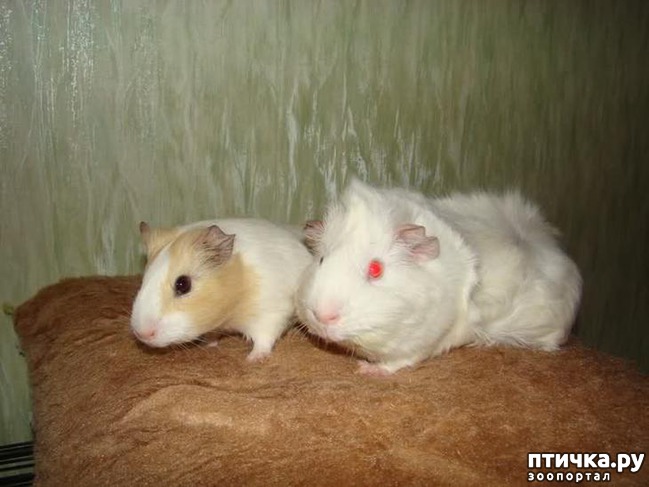 ���� 20: �����-����� 5 ��� ����� �����