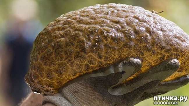 ���� 5: �������� �� �������� ����������, ������� ��� �������