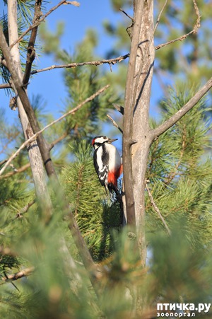 ����: �����