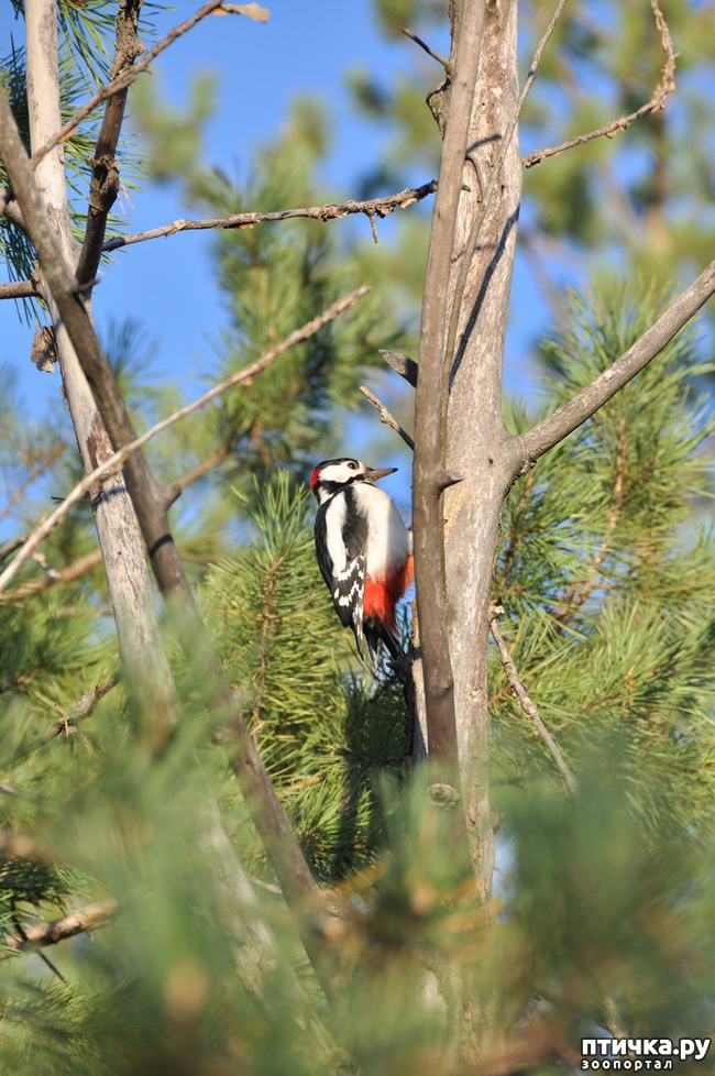 ���� 1: �����