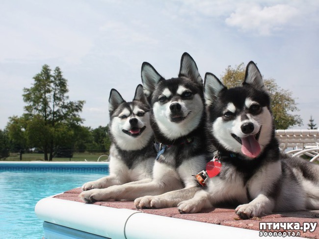 ���� 2: ������ ����� ����������� ��� ���