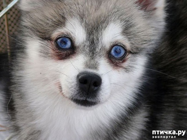 ���� 4: ������ ����� ����������� ��� ���