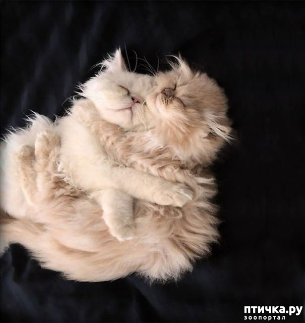 ���� 2: ��� �������� ��������.